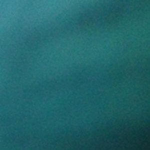 Meet your Posher, Felipe